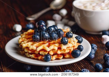 Homemade Waffles on Plate with Fresh Blueberry and Syrup. Cup of Hot Chocolate and Some Berries with Marshmallow on Backdrop.