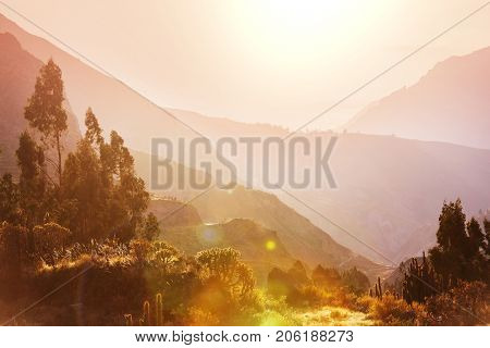 canyon Colca in Peru, South America