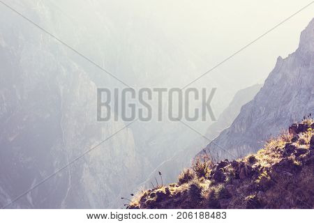 canyon Colca in Peru, South America