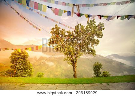 Buddhist tibetan prayer flags against blue cloudy sky. Many colorful waving flags suspended between trees. Himalayas mountain landscape. Trekking in Nepal. Holiday, travel, sport, recreation