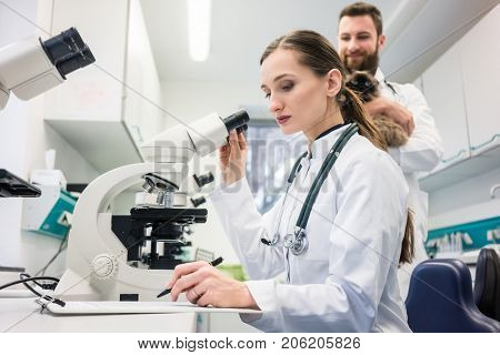 Veterinarian doctors analyzing blood samples of cat in laboratory under microscope