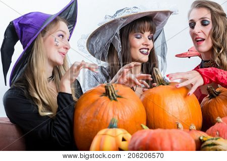 Three young and beautiful women wearing funny party costumes while acting as witches joining their malicious forces at Halloween