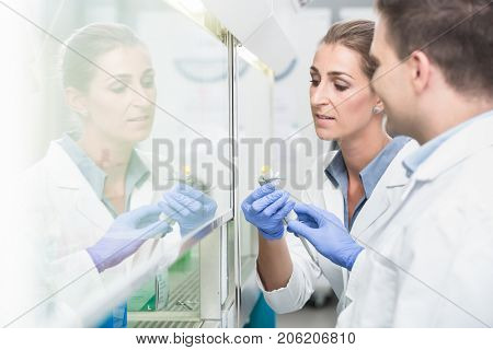 Scientists in laboratory preparing samples under splashback for experiment or test