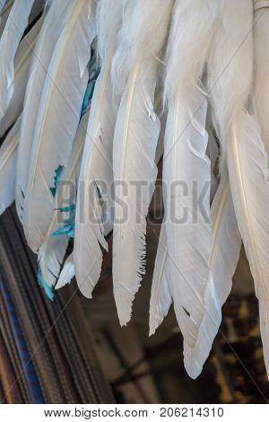 Beautiful White Bird Feathers For Decorative Purposes