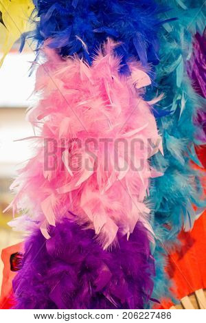 Beautiful colorful bird feathers for decorative purposes
