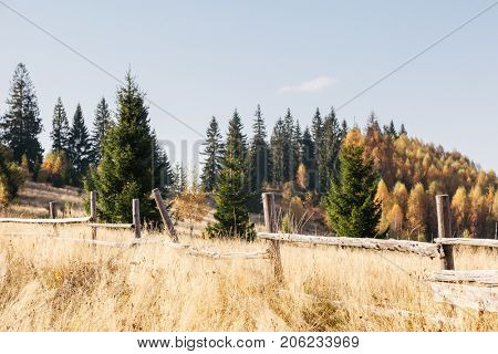 Stunning image of the bright hills in sunny beams. Gorgeous and picturesque morning scene. Red and yellow leaves. Location place Carpathians, Sheshory resort, Ukraine, Europe. Warm tone. Beauty world