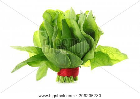 Fresh bunch of spinach on white background