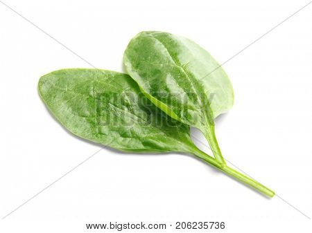 Fresh spinach leaves on white background