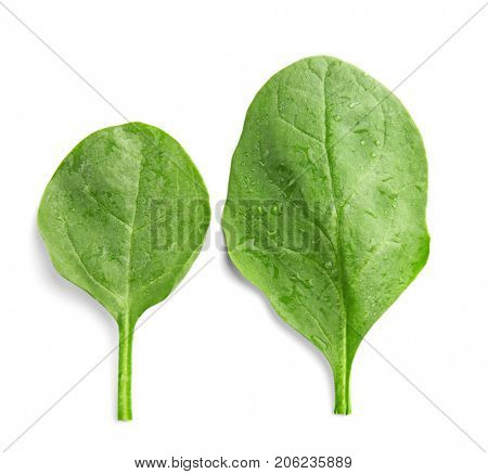 Fresh spinach leaves on white background