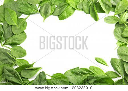 Frame made of fresh spinach leaves on white background