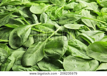 Fresh spinach leaves as background