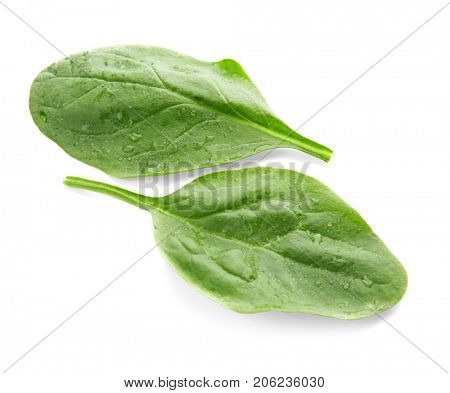 Fresh spinach leaves on white background