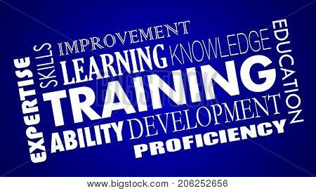 Training Development Skills Education Learning Words Collage 3d Illustration