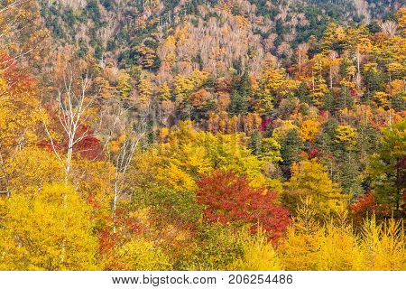 Nikko National Park