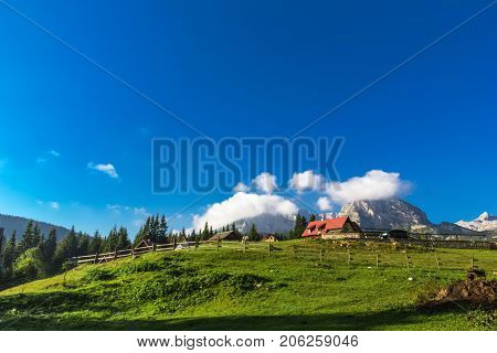 Beautiful landscape in Montenegro with fresh grass and beautiful peaks. Durmitor National Park in Montenegro.