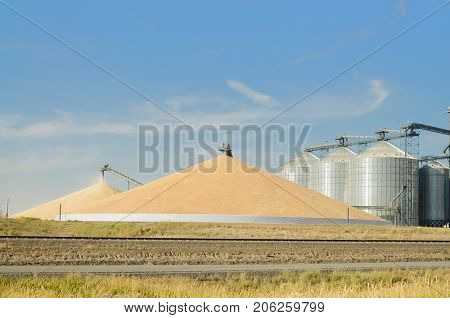 Grain silo's elevator and a mountain of grain in the Palouse, Washington