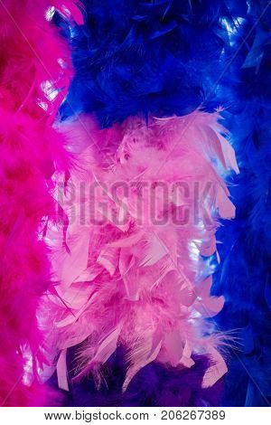 Beautiful Bird Feathers For Decorative Aims