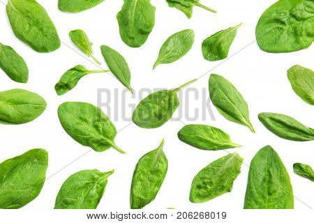 Fresh spinach leaves on white background