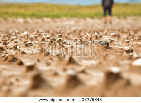 Texture left in wet sand after the tide has gone out