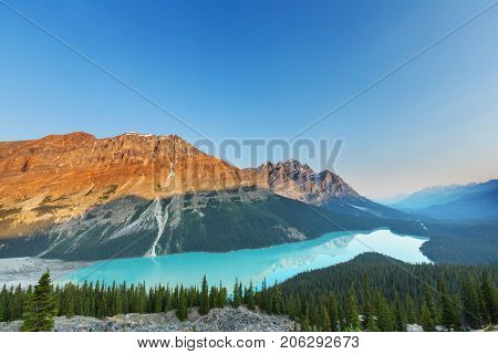 Peyto Lake in Banff National Park, Canada