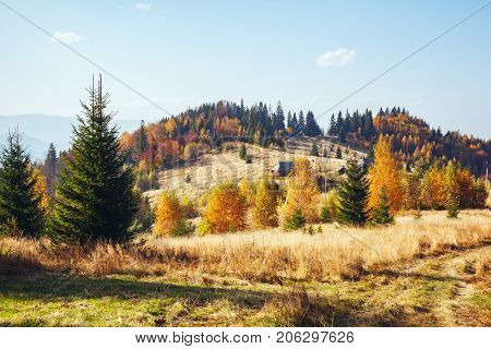 Stunning image of the bright hills in sunny beams. Gorgeous and picturesque morning scene. Red and yellow leaves. Location place Carpathians, Sheshory resort, Ukraine, Europe. Warm tone. Beauty world