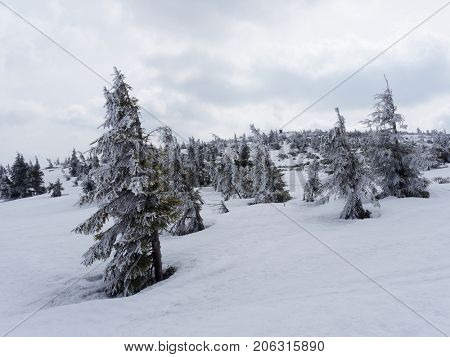 First snow in polish mountains beskidy
