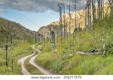 Medano Pass primitive road in Great Sand Dunes National Park and Preserve, late summer scenery