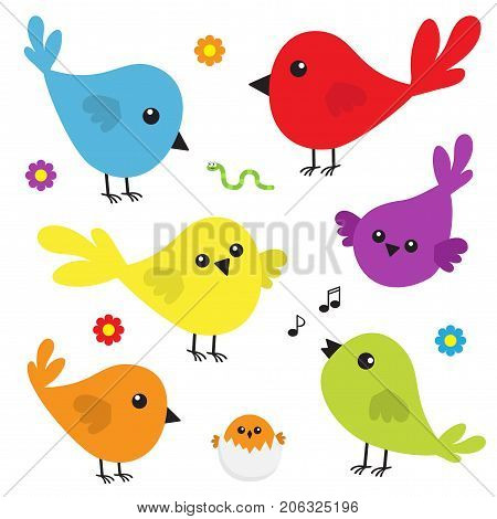 Bird icon set. Cute cartoon colorful character. Birds baby collection. Decoration element. Singing song. Flower worm insect music note shell nesting. Flat design. White background. Isolated. Vector