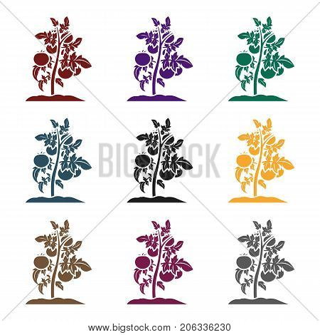 Tomato icon in black style isolated on white background. Plant symbol stock vector illustration.