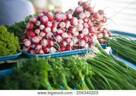 Fresh radish in the local market healthy vegan food.