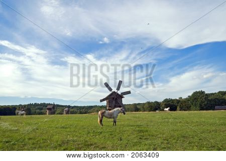 Väderkvarnar och hästar