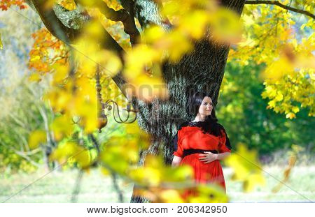 young mother waiting for the child's birth with a pensive and tender look tenderly keeps rakum a tummy happy pregnancy against the background of greens in the park the gentle loving relations
