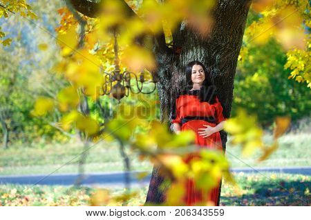 Happy Mother Waiting For The Child's Birth