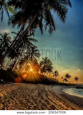 Tropical beach with palms.Beach and tropical sea.Sunset over the coconut palms. Paradise idyllic beach Sri Lanka. Beautiful Sri Lanka landscape. Exotic water landscape with clouds on horizon. Summer holidays. Ocean shore in the evening as nature travel ba