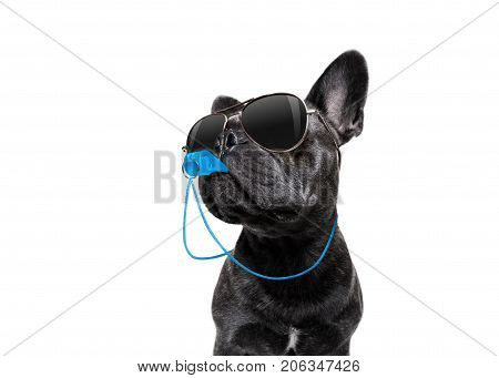 Referee Dog With Whistle