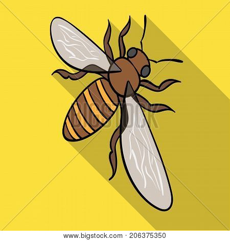 A bee, a hymenopteran insect. Stinging insect bee single icon in flat style vector symbol stock isometric illustration .