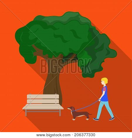 Tree and bench, woman walks a pet in the park. Pet, Dog care single icon in flat style vector symbol stock illustration .