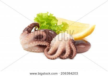 Octopus with lemon, isolated on white background