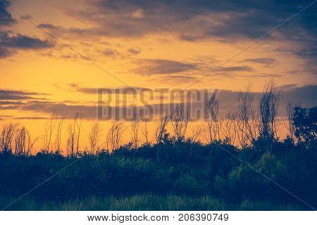 Landscape of sky with dark cloudy over silhouette of trees in a wilderness area outdoor in gloaming. Serenity nature background. Vintage film filter effect.