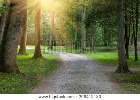 Forest landscape: path in an old park in the sunlight. Park Schoenbusch ( Schönbuch ) - english landscape garden Aschaffenburg Germany