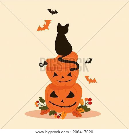 Halloween objects - cute black cat sits on halloween pumpkings and looks on bats