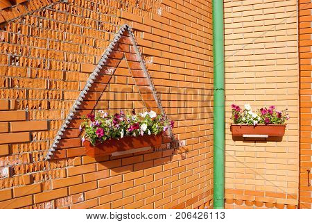 Flowers in a flower pot on the wall. The Gustynsky Monastery. Ukraine