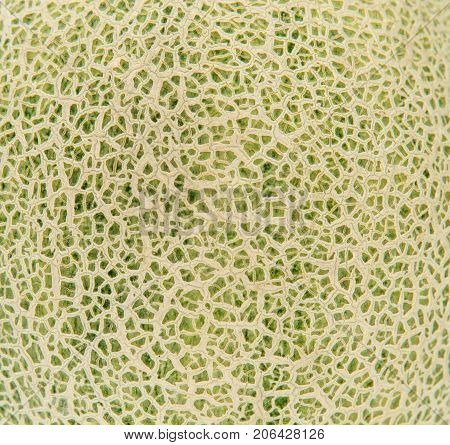 Close-up Skin of cantaloupe melon for the background, texture