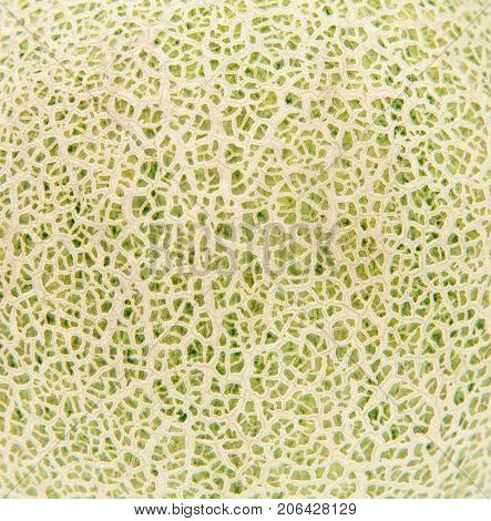 Close-up Skin of cantaloupe melon for the background, texture