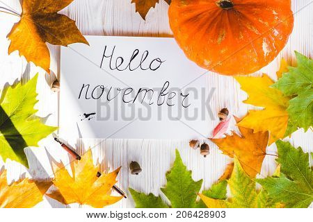 Hello November card, Fall composition from leaves and pumpkin