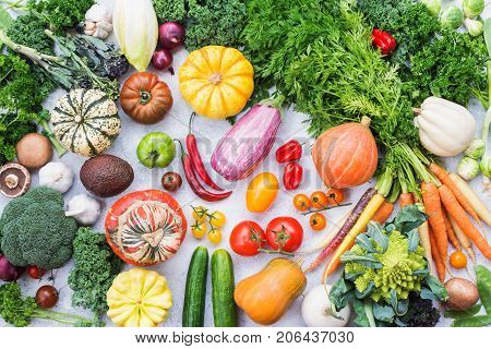 Organic fresh farm produce, varieity of colorful organic vegetables and herbs on light grey stone background, top view, selective focus