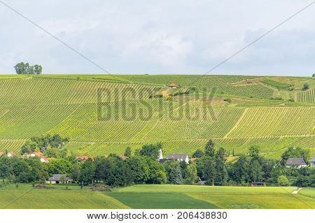 winegrowing scenery around Loerzweiler in the Rhineland-Palatinate in Germany at spring time