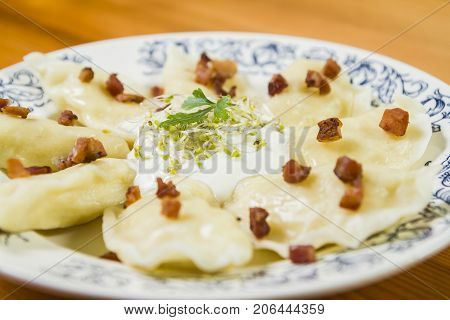 Cooked dumplings with cheese pork scratching and creme fraiche on wooden table. Polish ukrainian russian traditional food.