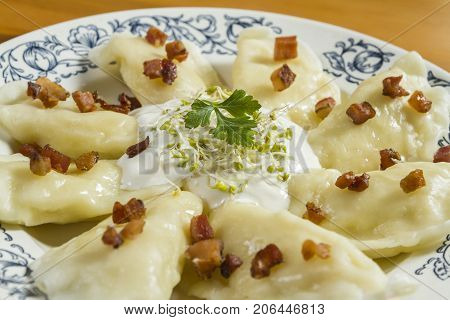 Cooked dumplings with cheese pork scratching and creme fraiche on wooden table. Polish ukrainian russian traditional food.