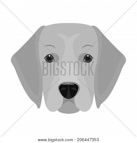 A dog breed, a golden retriever.Muzzle of the Golden Retriever single icon in monochrome style vector symbol stock illustration .